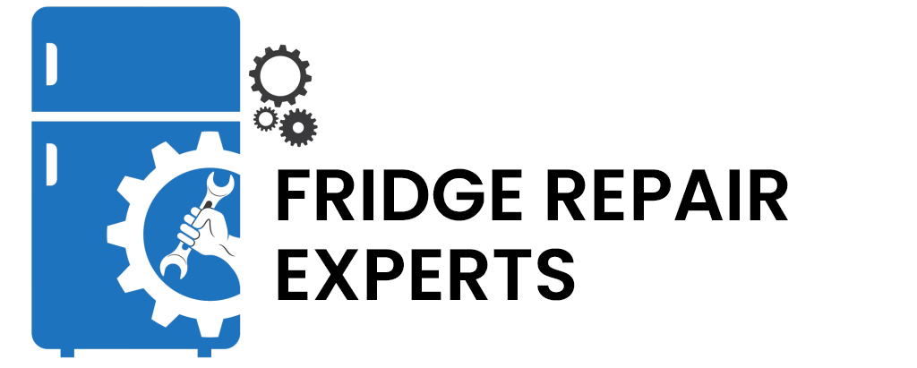 Fridge Repair Experts